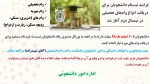 وام های دانشجویی 3