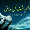 ایام سوگواری شهادت حضرت علی علیه السلام بر همه عاشقان اهل بیت عصمت و طهارت تسلیت باد. با آرزوی استجابت دعاهای خالصانه شما عزیزان در این شبهای گران بها 6