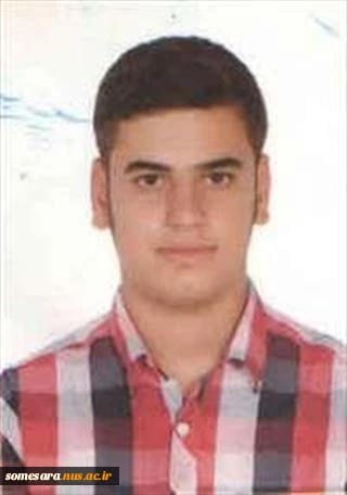 مبین ربیعی 2