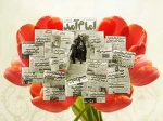 آغاز سراسر نور و برکت دهه فجر انقلاب، مبارک باد 2