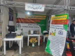 حضور دانشکده فنی و حرفه ای صومعه سرا در نمایشگاه کارآفرینی و ارتباط باصنعت(صدرا) 2