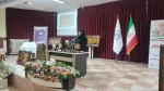 برگزاری همایش استانی مدل کسب و کار در دانشکده ملی مهارت صومعه سرا 10