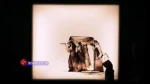 فرا رسیدن ایام شهادت حضرت فاطمه زهرا (س) برهمه عاشقان طریق حق، تسلیت باد 3